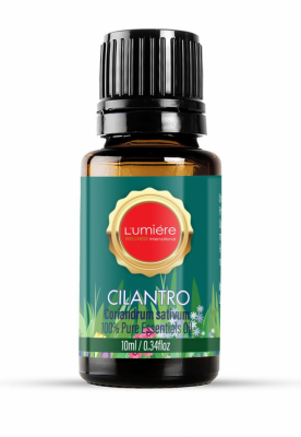 Cilantro Essential Oil 100% Pure & Organic 10ml